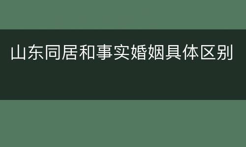 山东同居和事实婚姻具体区别