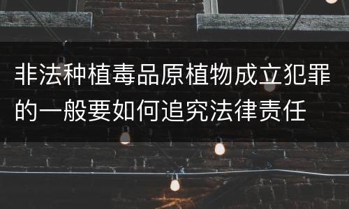 非法种植毒品原植物成立犯罪的一般要如何追究法律责任