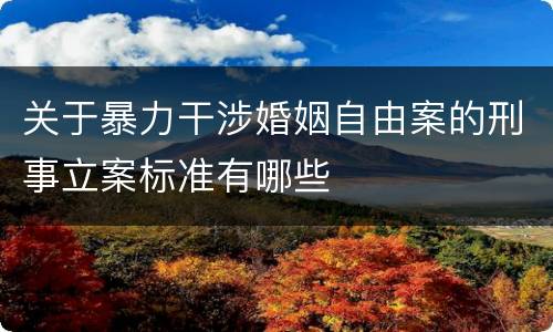 关于暴力干涉婚姻自由案的刑事立案标准有哪些