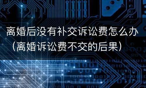 离婚后没有补交诉讼费怎么办（离婚诉讼费不交的后果）