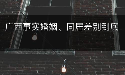 广西事实婚姻、同居差别到底