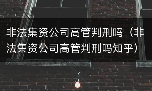 非法集资公司高管判刑吗（非法集资公司高管判刑吗知乎）