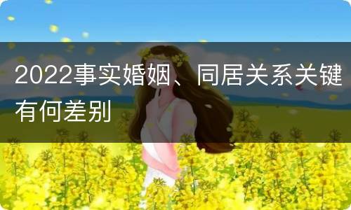 2022事实婚姻、同居关系关键有何差别