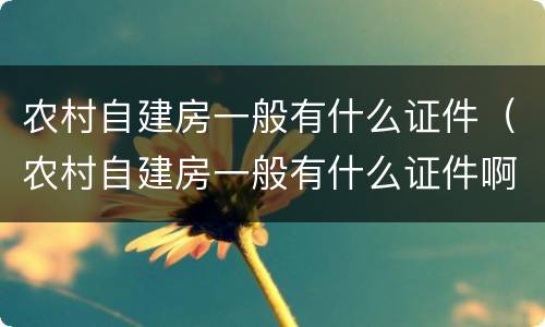 农村自建房一般有什么证件（农村自建房一般有什么证件啊）