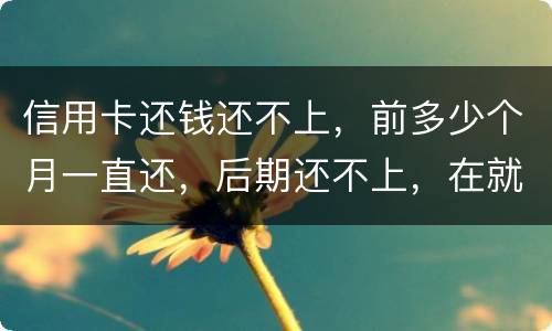 信用卡还钱还不上，前多少个月一直还，后期还不上，在就是无钱还，结婚会要怎样样