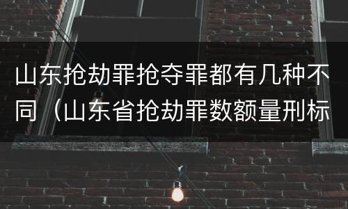 山东抢劫罪抢夺罪都有几种不同（山东省抢劫罪数额量刑标准）