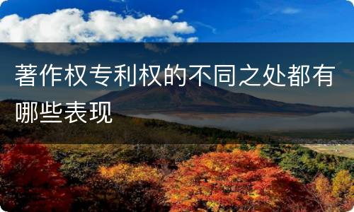 著作权专利权的不同之处都有哪些表现