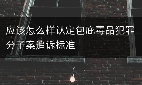 应该怎么样认定包庇毒品犯罪分子案追诉标准