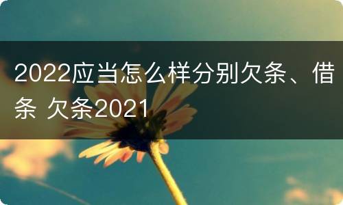 2022应当怎么样分别欠条、借条 欠条2021