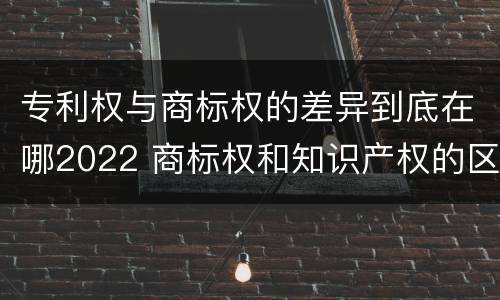 专利权与商标权的差异到底在哪2022 商标权和知识产权的区别