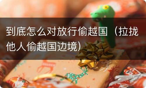 到底怎么对放行偷越国（拉拢他人偷越国边境）