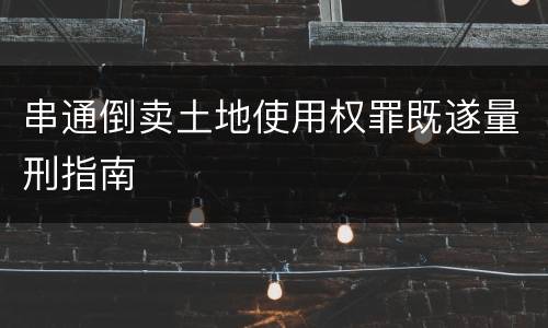 串通倒卖土地使用权罪既遂量刑指南