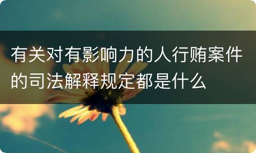 有关对有影响力的人行贿案件的司法解释规定都是什么