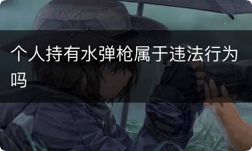 个人持有水弹枪属于违法行为吗