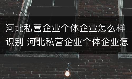 河北私营企业个体企业怎么样识别 河北私营企业个体企业怎么样识别的