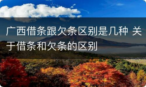 广西借条跟欠条区别是几种 关于借条和欠条的区别