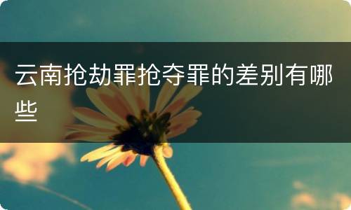 云南抢劫罪抢夺罪的差别有哪些