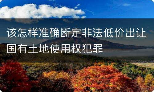该怎样准确断定非法低价出让国有土地使用权犯罪