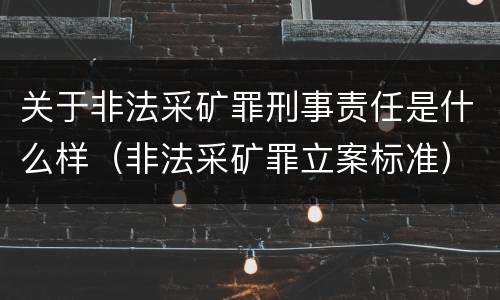 关于非法采矿罪刑事责任是什么样（非法采矿罪立案标准）