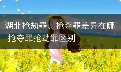 湖北抢劫罪、抢夺罪差异在哪 抢夺罪抢劫罪区别