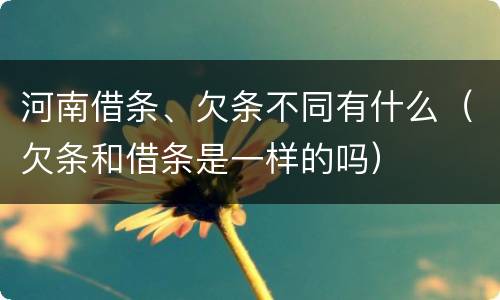 河南借条、欠条不同有什么（欠条和借条是一样的吗）