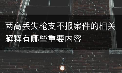 两高丢失枪支不报案件的相关解释有哪些重要内容