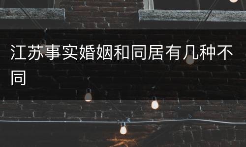 江苏事实婚姻和同居有几种不同