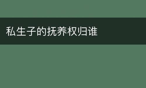 私生子的抚养权归谁