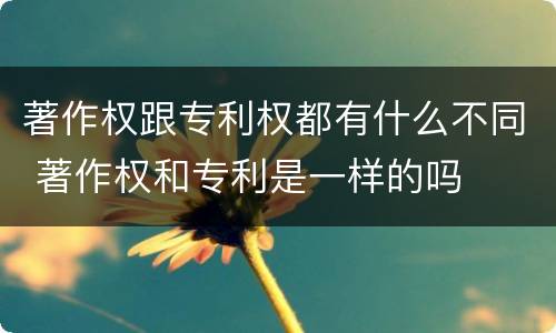 著作权跟专利权都有什么不同 著作权和专利是一样的吗