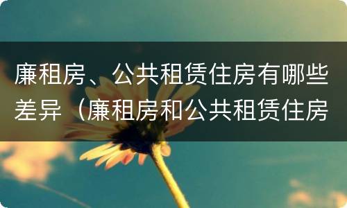 廉租房、公共租赁住房有哪些差异（廉租房和公共租赁住房的区别）