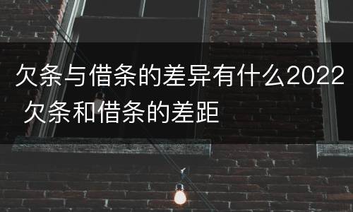 欠条与借条的差异有什么2022 欠条和借条的差距