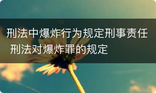刑法中爆炸行为规定刑事责任 刑法对爆炸罪的规定