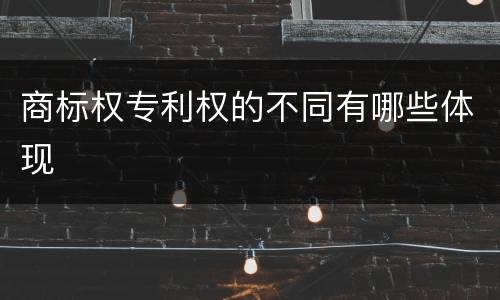 商标权专利权的不同有哪些体现