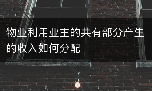 物业利用业主的共有部分产生的收入如何分配