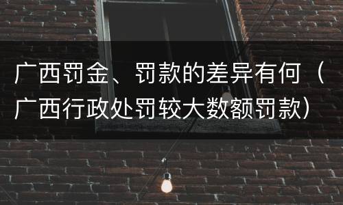 广西罚金、罚款的差异有何（广西行政处罚较大数额罚款）