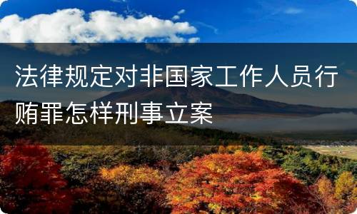 法律规定对非国家工作人员行贿罪怎样刑事立案