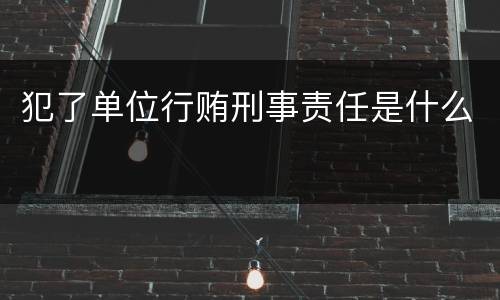 犯了单位行贿刑事责任是什么