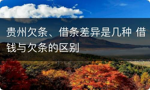 贵州欠条、借条差异是几种 借钱与欠条的区别