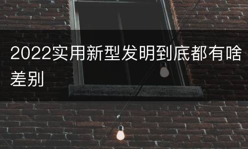 2022实用新型发明到底都有啥差别