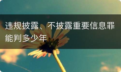 违规披露、不披露重要信息罪能判多少年
