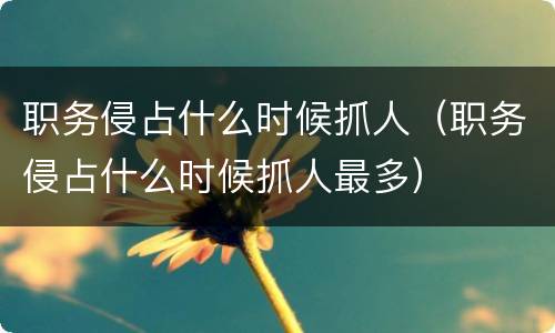 职务侵占什么时候抓人（职务侵占什么时候抓人最多）