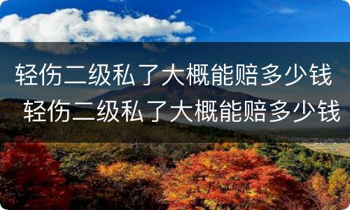轻伤二级私了大概能赔多少钱 轻伤二级私了大概能赔多少钱一天