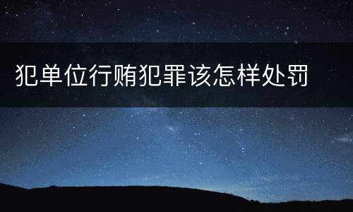 犯单位行贿犯罪该怎样处罚