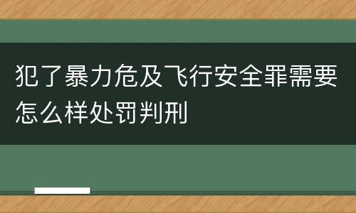 犯了暴力危及飞行安全罪需要怎么样处罚判刑