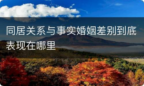 同居关系与事实婚姻差别到底表现在哪里
