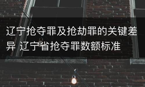 辽宁抢夺罪及抢劫罪的关键差异 辽宁省抢夺罪数额标准