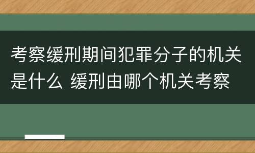 考察缓刑期间犯罪分子的机关是什么 缓刑由哪个机关考察
