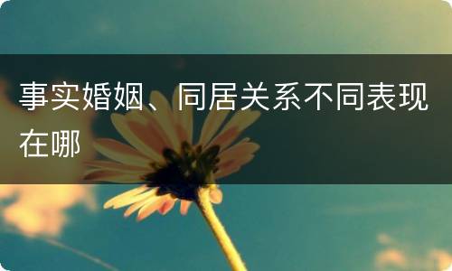 事实婚姻、同居关系不同表现在哪