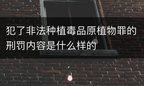犯了非法种植毒品原植物罪的刑罚内容是什么样的