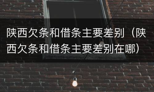 陕西欠条和借条主要差别（陕西欠条和借条主要差别在哪）